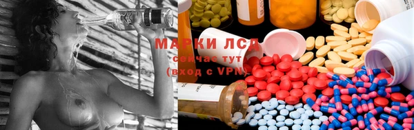 СК Вяземский